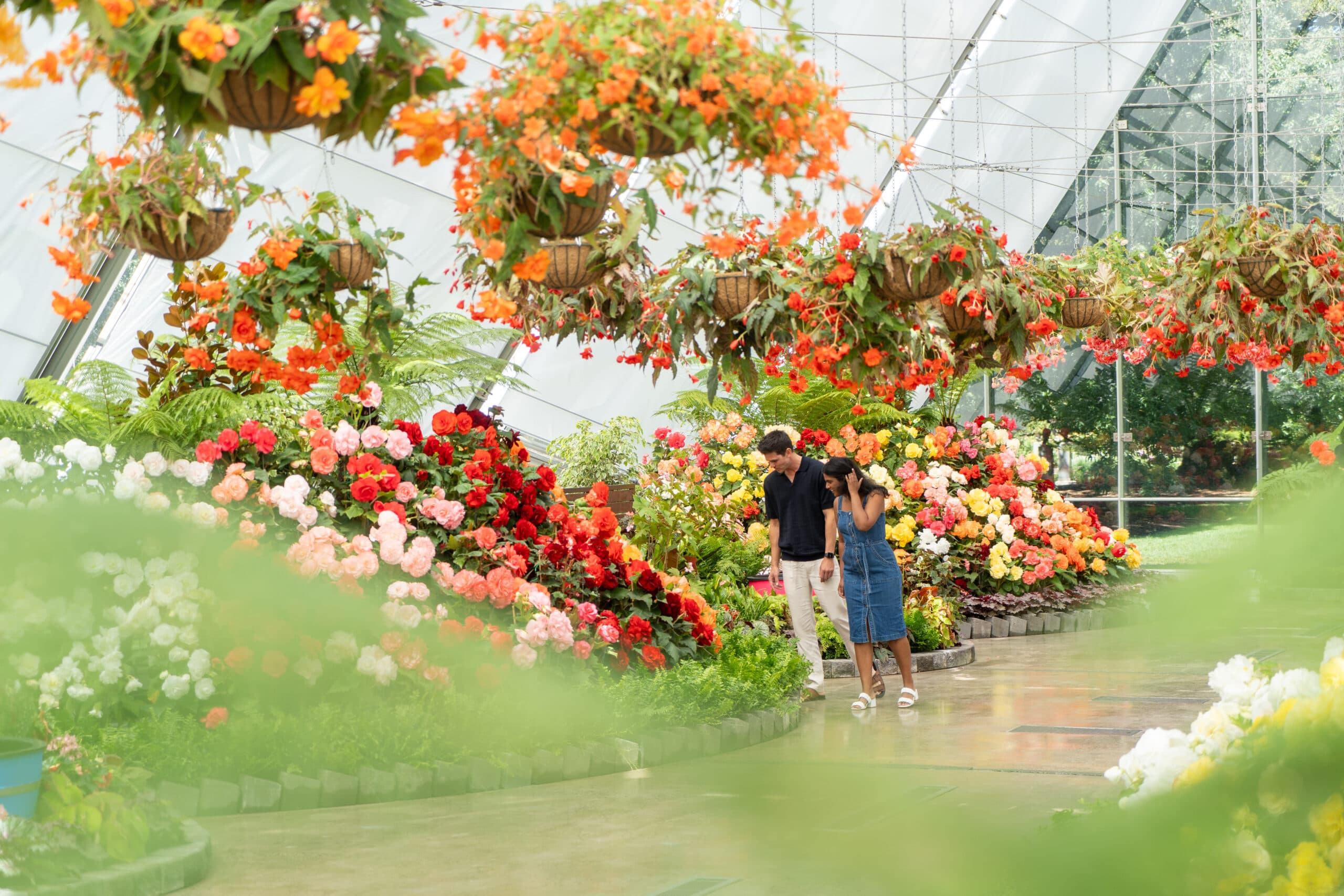 The Ballarat Begonia Festival is almost ready to bloom teaser image