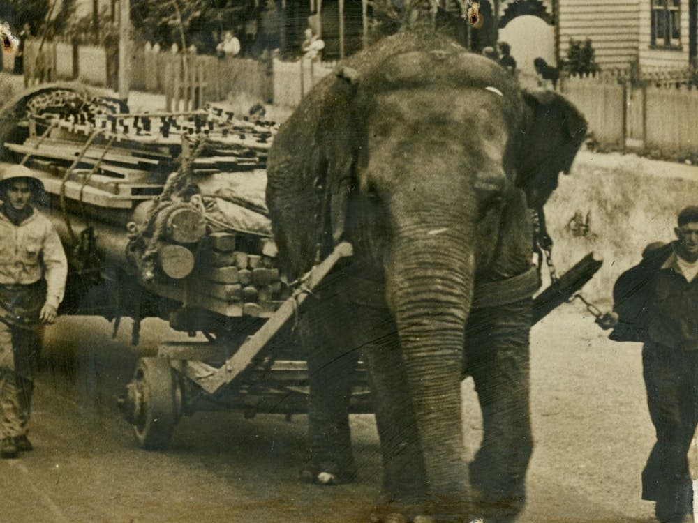 CTA Slide Image