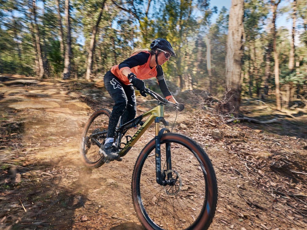 Thumbnail for Djuwang Baring (Creswick Trails)