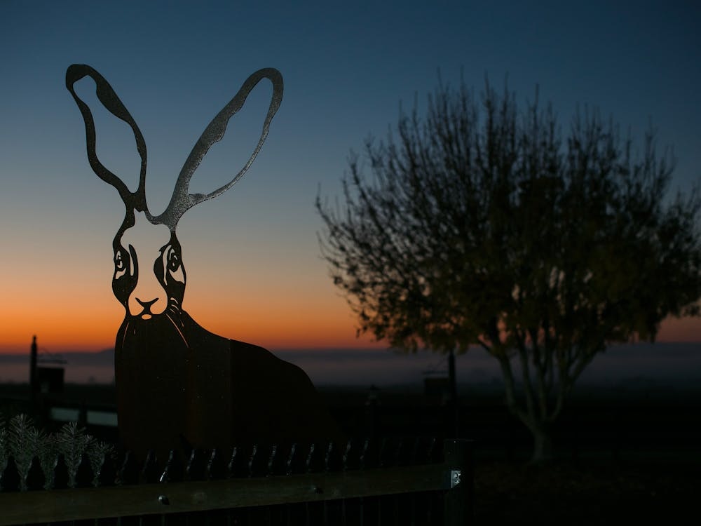 Thumbnail for Mt Coghill Vineyard’s Mother’s Day