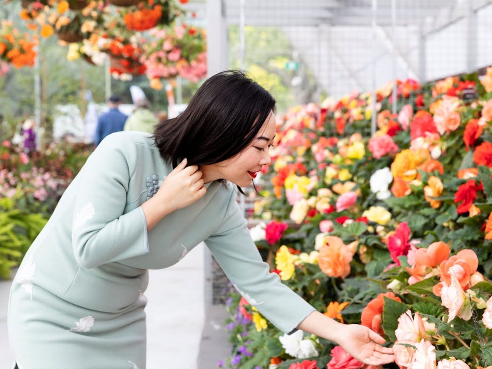 What’s on in and around Ballarat this March long weekend teaser image