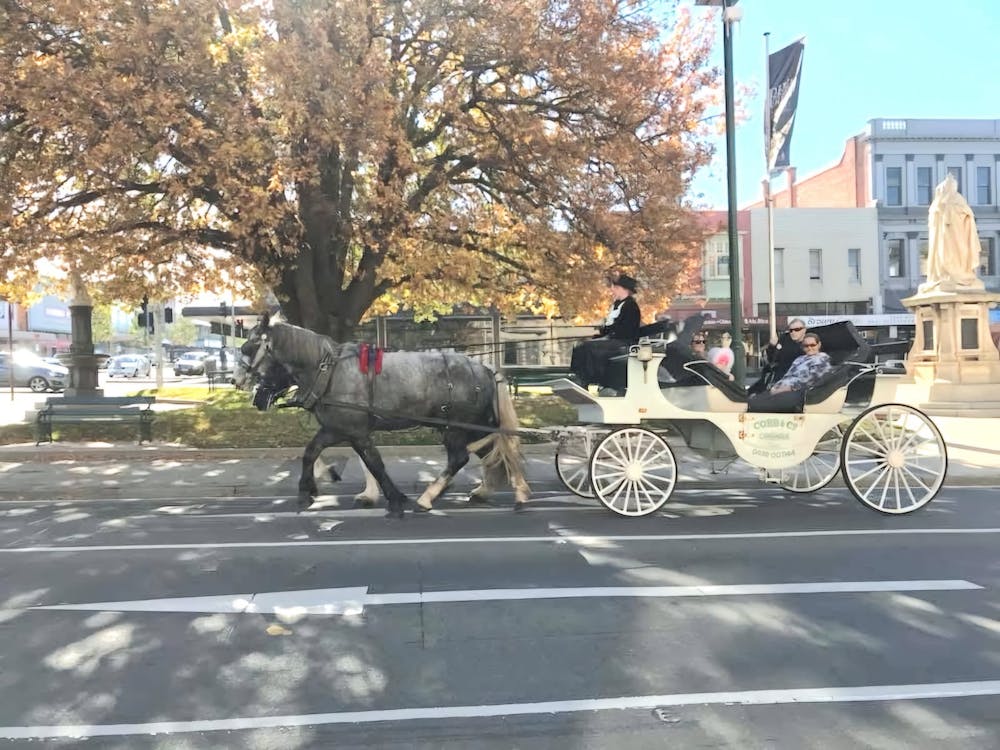 Thumbnail for Horse and Carriage Rides during Ballarat Heritage Festival