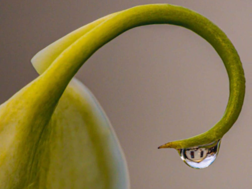 Thumbnail for The Poetic Eye:  A Photographic Journey by Kylie Supski