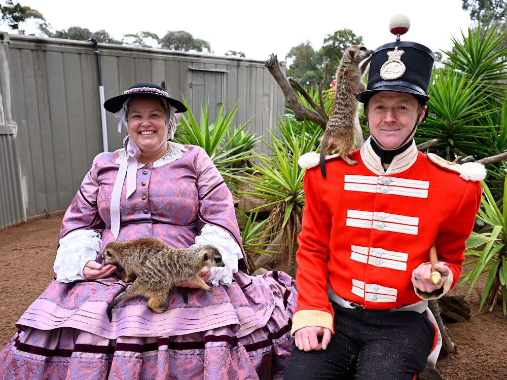 Thumbnail for Discount entry to Ballarat Wildlife Park
