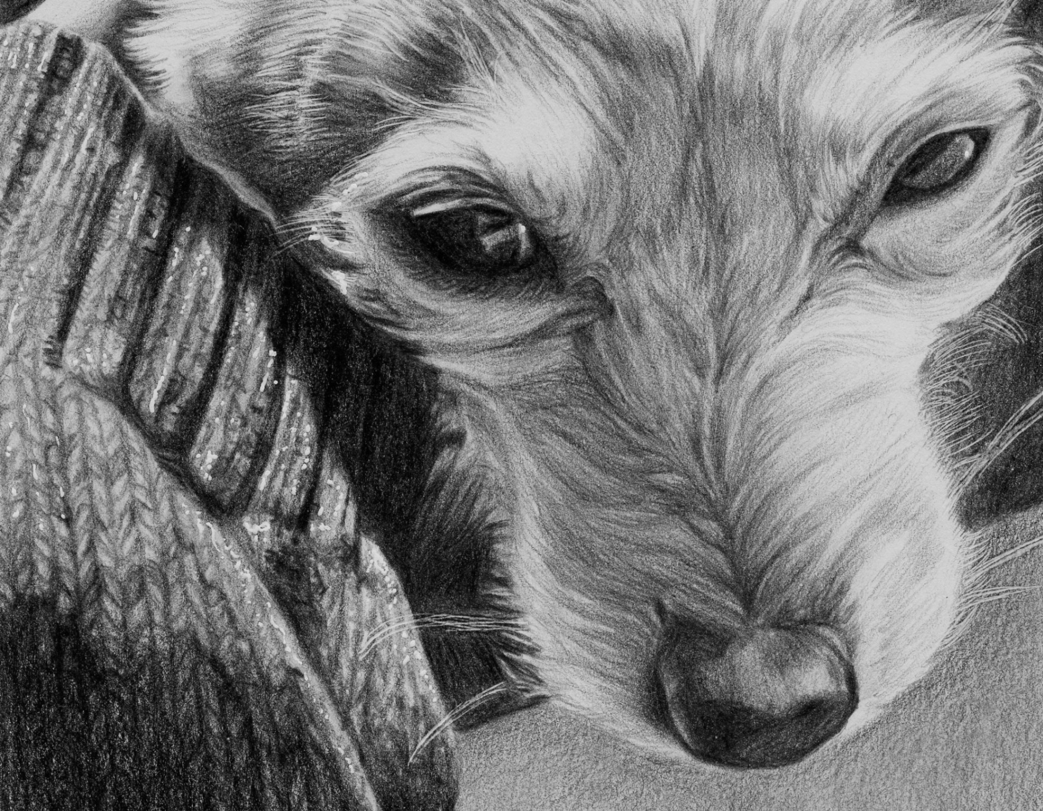 Thumbnail for Solo art exhibition: FLORA FAUNA FELLOW FLOW