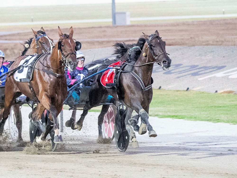 Thumbnail for SpringFest Ballarat Harness Racing Night