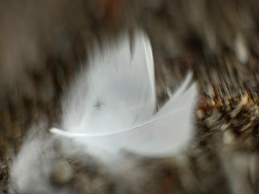 Thumbnail for Within Sight Photographs by Paul Lambeth