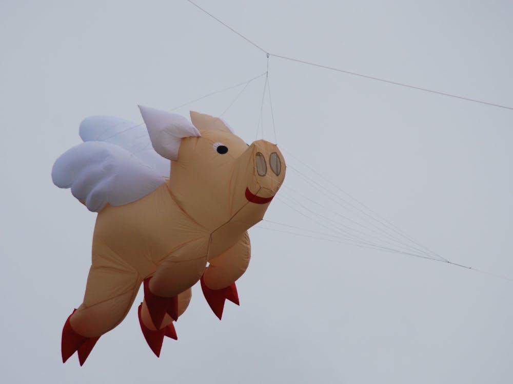 Thumbnail for Dean Kite Festival