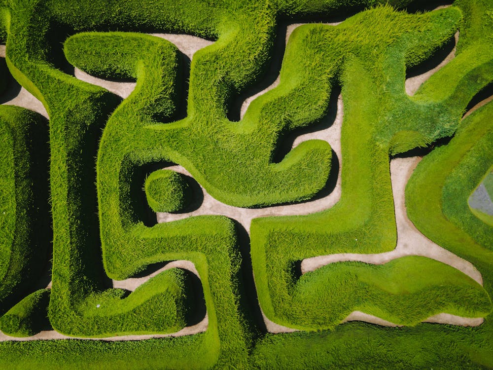 Thumbnail for Spring school holidays at Maze House