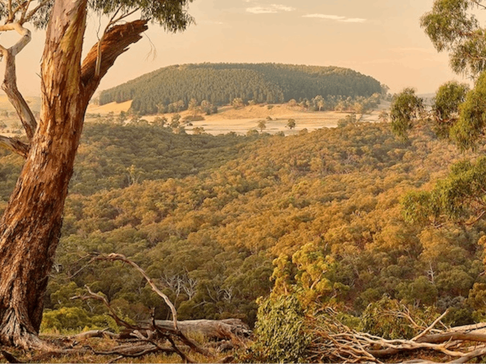 Thumbnail for Landscape Photography Workshop
