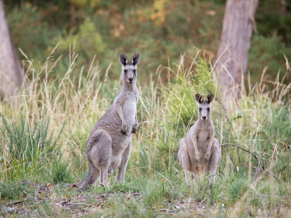 Thumbnail for Enfield State Park