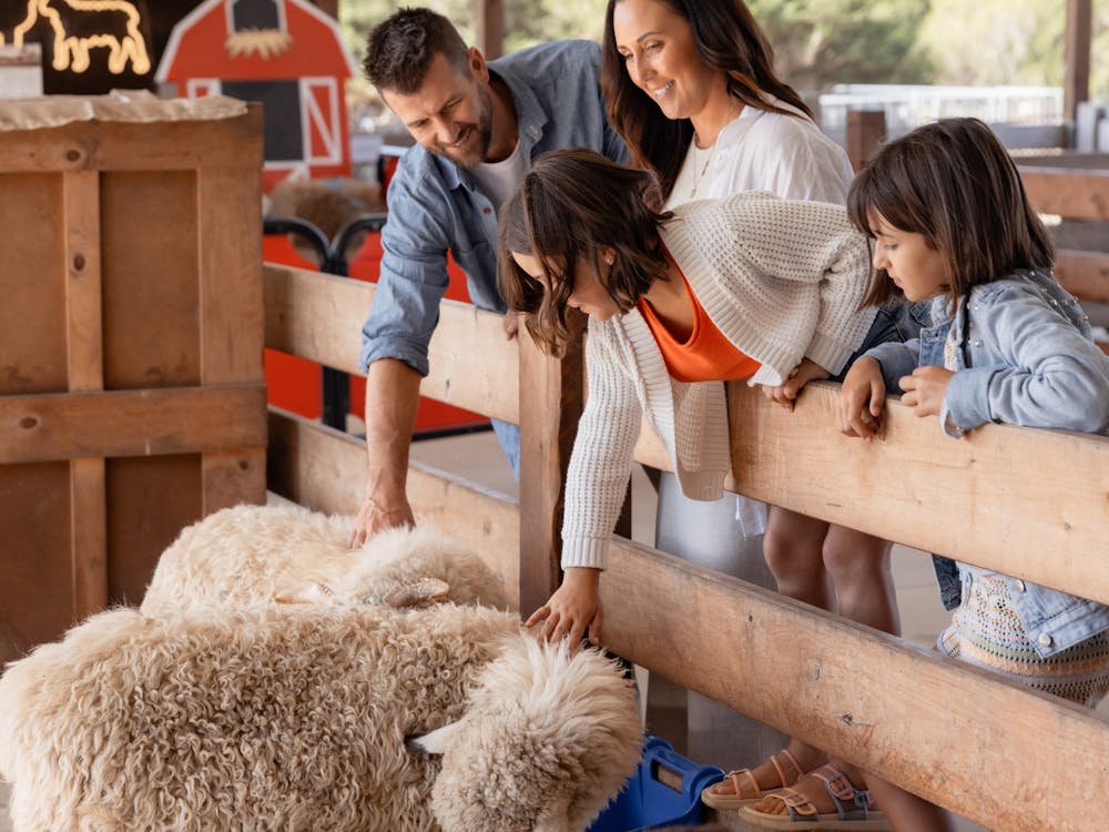 Thumbnail for Creswick Woollen Mills – A Very Fine Yarn