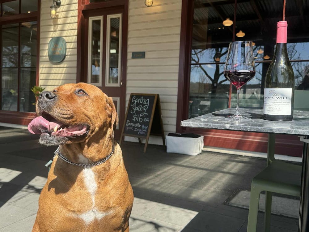 Thumbnail for Pup and Pinot at The Shared Table