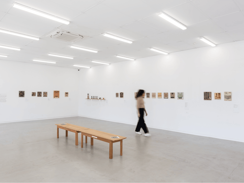 Thumbnail for Art Gallery of Ballarat / Backspace Gallery