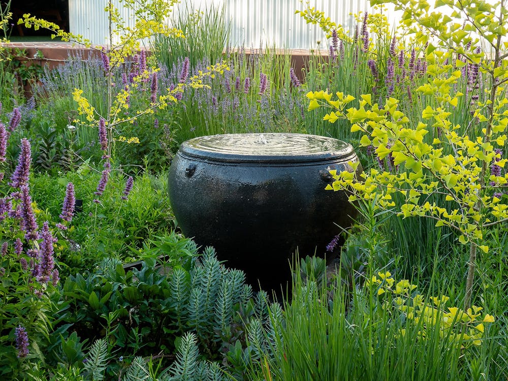 Thumbnail for Open Gardens Victoria – North Haven