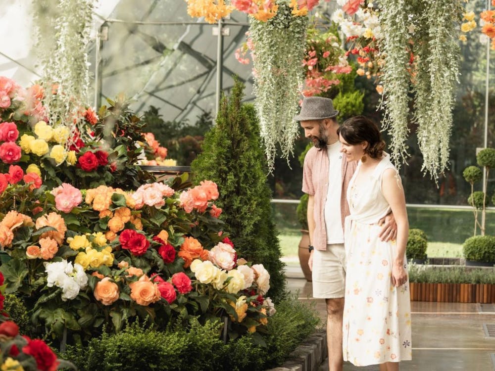 Thumbnail for 2026 Ballarat Begonia Festival