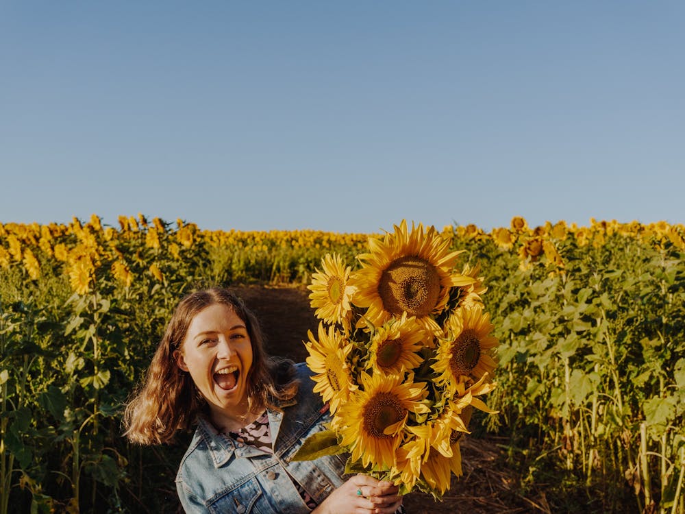 Thumbnail for Pick Your Own Sunflowers