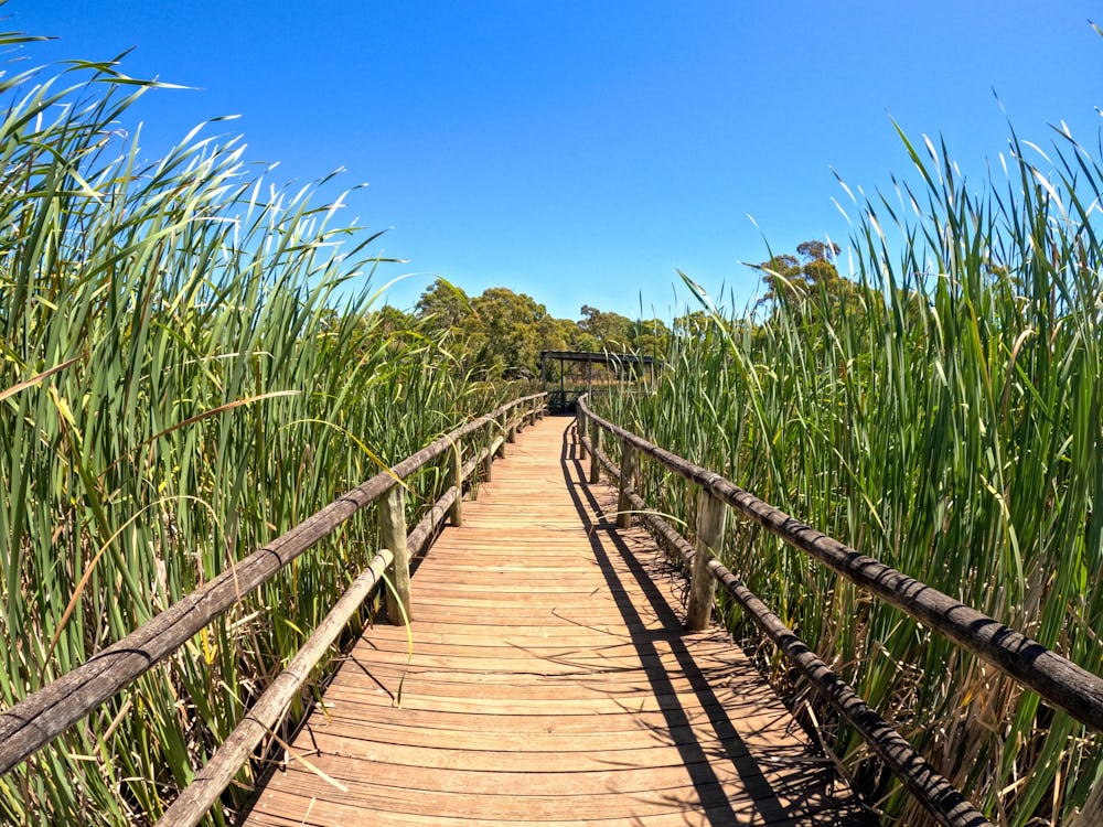 Thumbnail for Beaufort Walkfest 2026