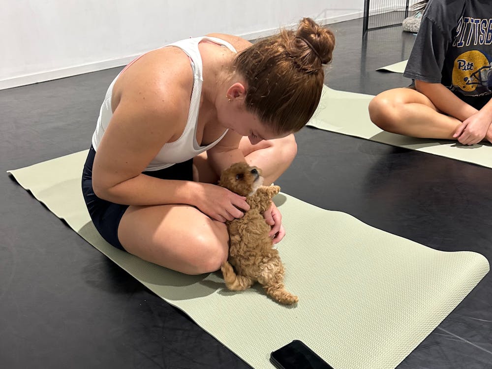 Thumbnail for Puppy Yoga Class