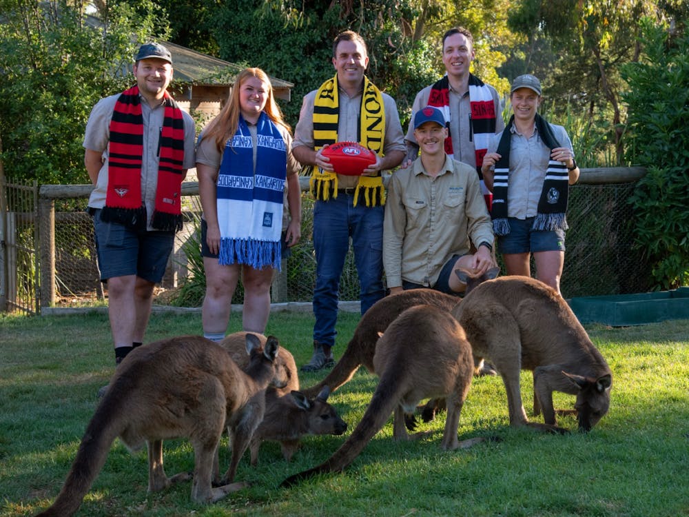 Thumbnail for AFL Community Series Weekend Offer