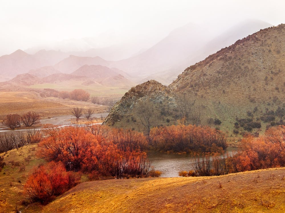 Thumbnail for Soldiers Hill Artist Collective Artwalk 2026