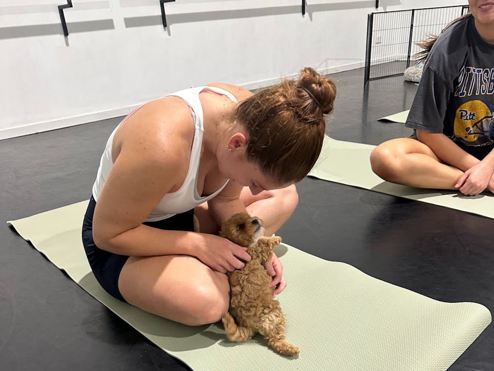 Thumbnail for Puppy Yoga Class Ballarat