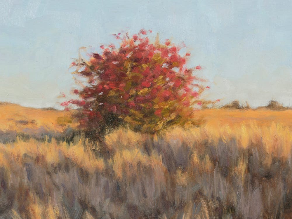 Thumbnail for Moving in Stillness by Cathy Brown