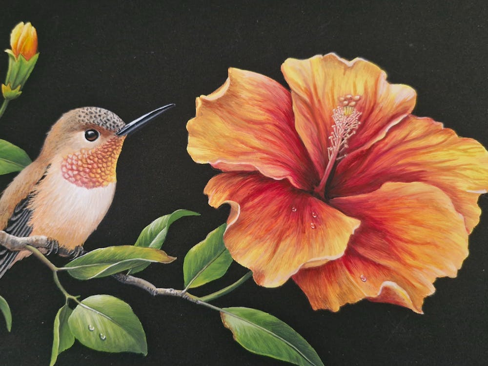 Thumbnail for Ballarat Society of Artists Inc.  43rd Annual Easter Art Show