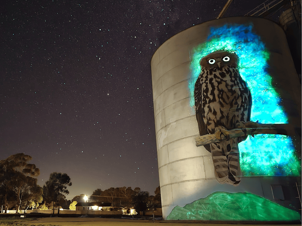 Thumbnail for Avoca Silo Art