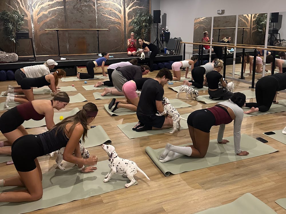 Thumbnail for Ballarat Cocker Spaniel Puppy Yoga Class