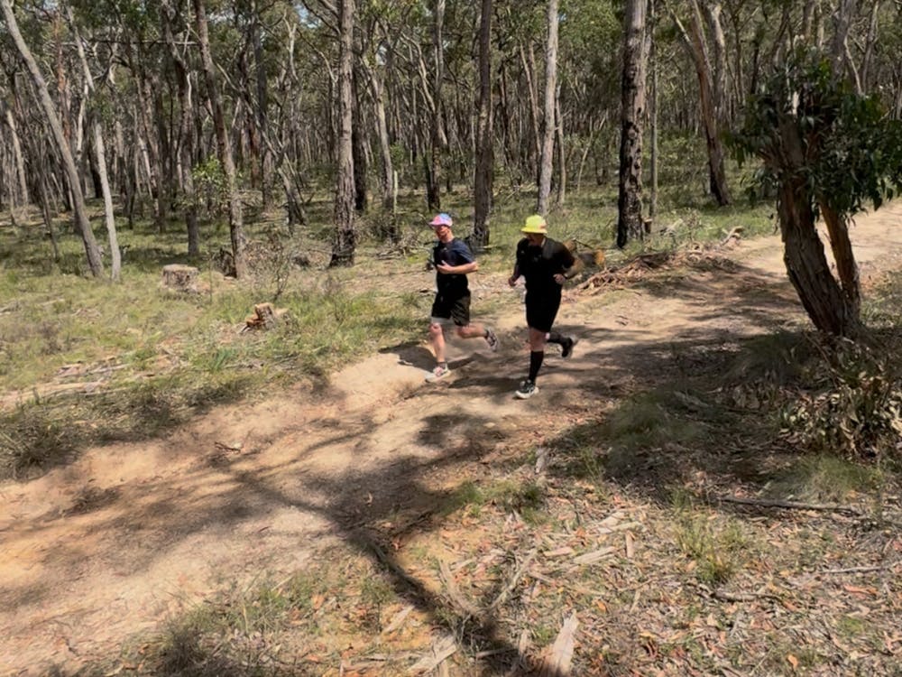 Thumbnail for Pace the Pyrenees Ultra Trail