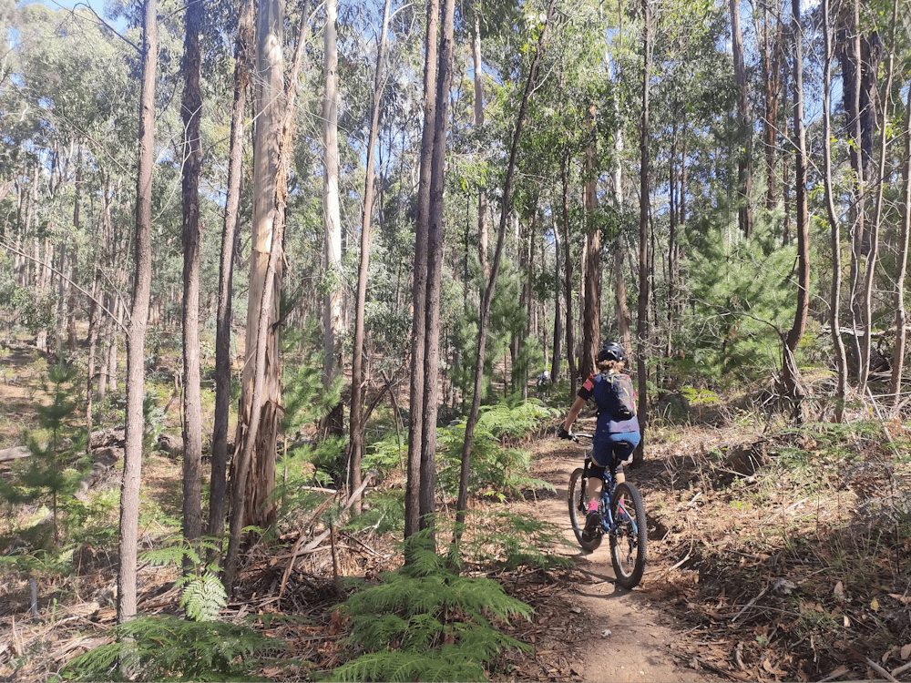 Thumbnail for Mountain Bike Therapy Australia