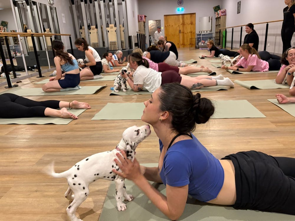 Thumbnail for Ballarat Dalmatian Puppy Yoga Class