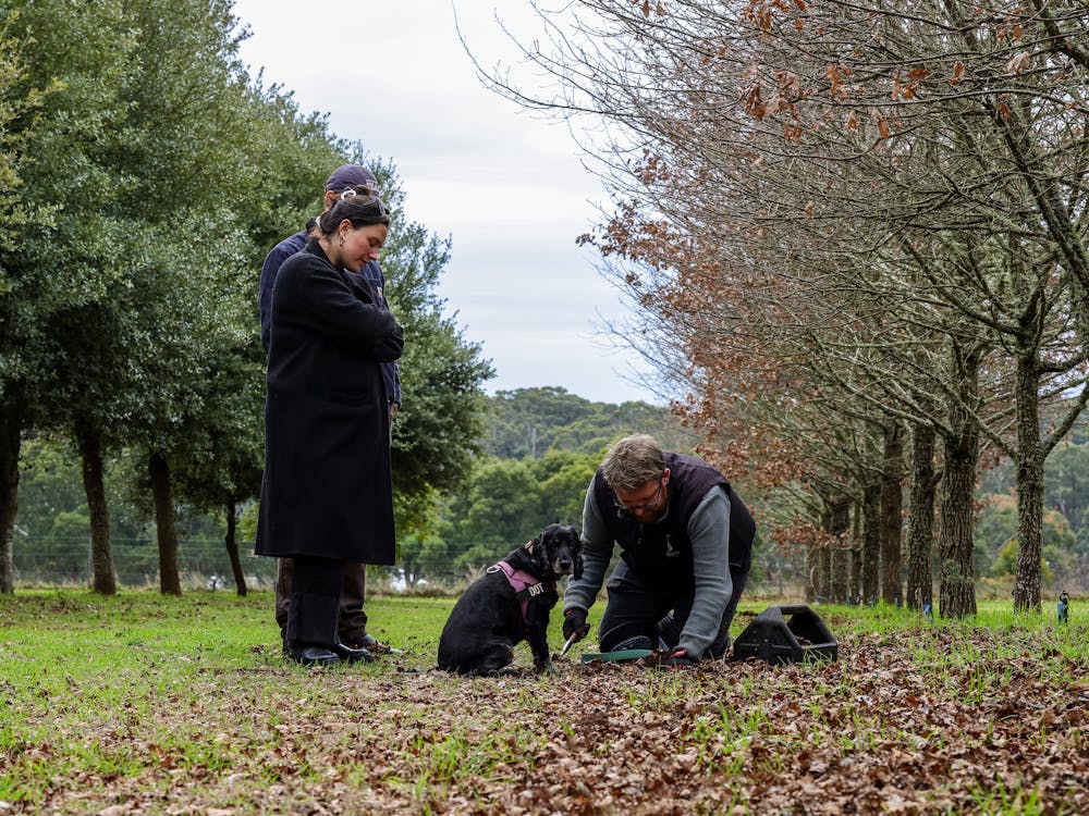 From Earth to Glass: Truffles & Spirits