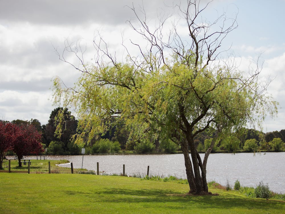 Beaufort Lake Caravan Park