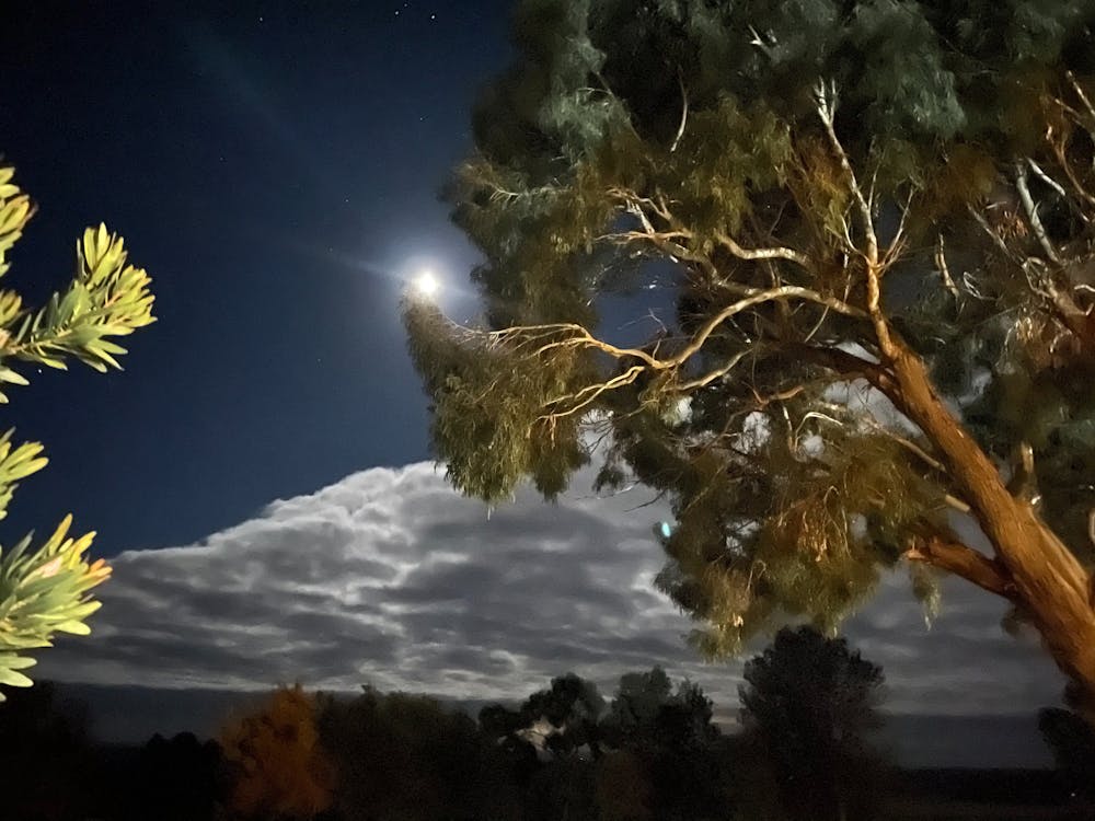 Photo taken at dusk - Image 2