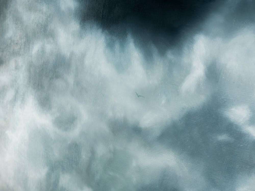 Thumbnail for Chronic by Julia Howe
