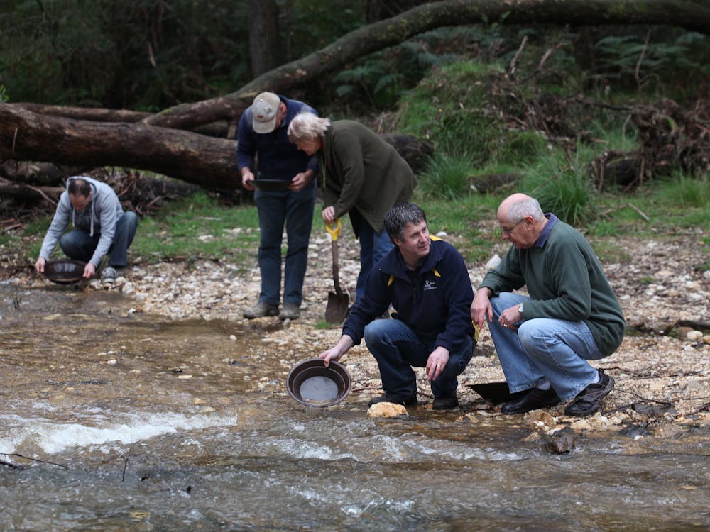 Thumbnail for Gold and Relics Gold Prospecting Adventure Tours