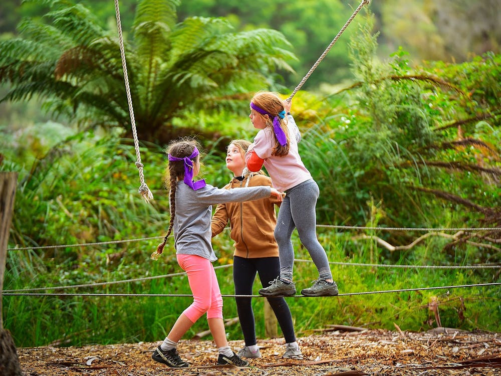 Low ropes