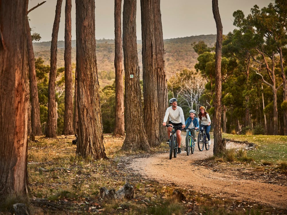 bike trail at RACV Goldfields Resort