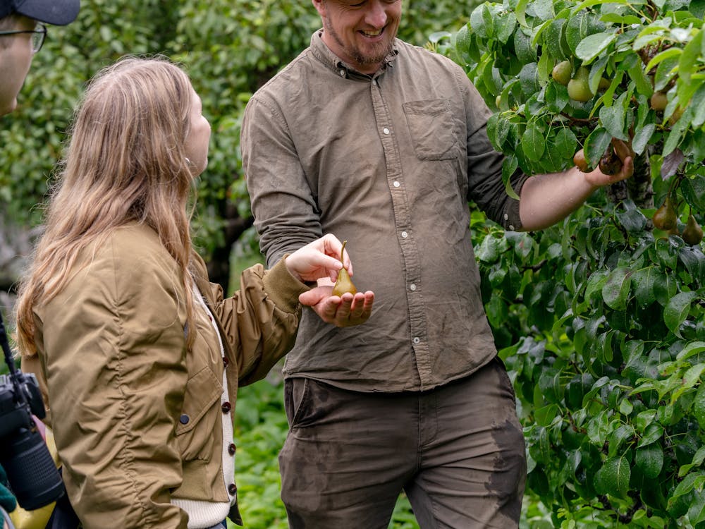 Couple and gardener sharing pears