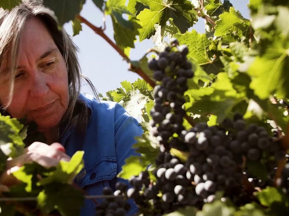 Thumbnail for Long Lunch with Jane Ferrari