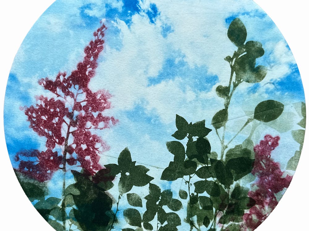 Blue sky with pink and green plants