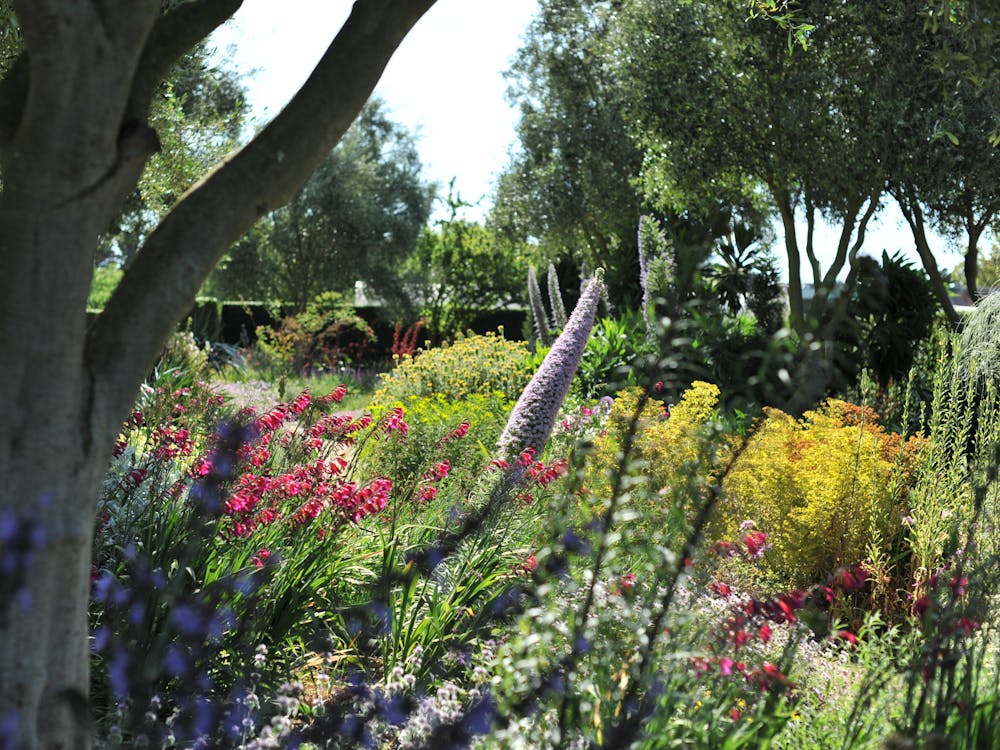 Thumbnail for Lambley Nursery and Gardens