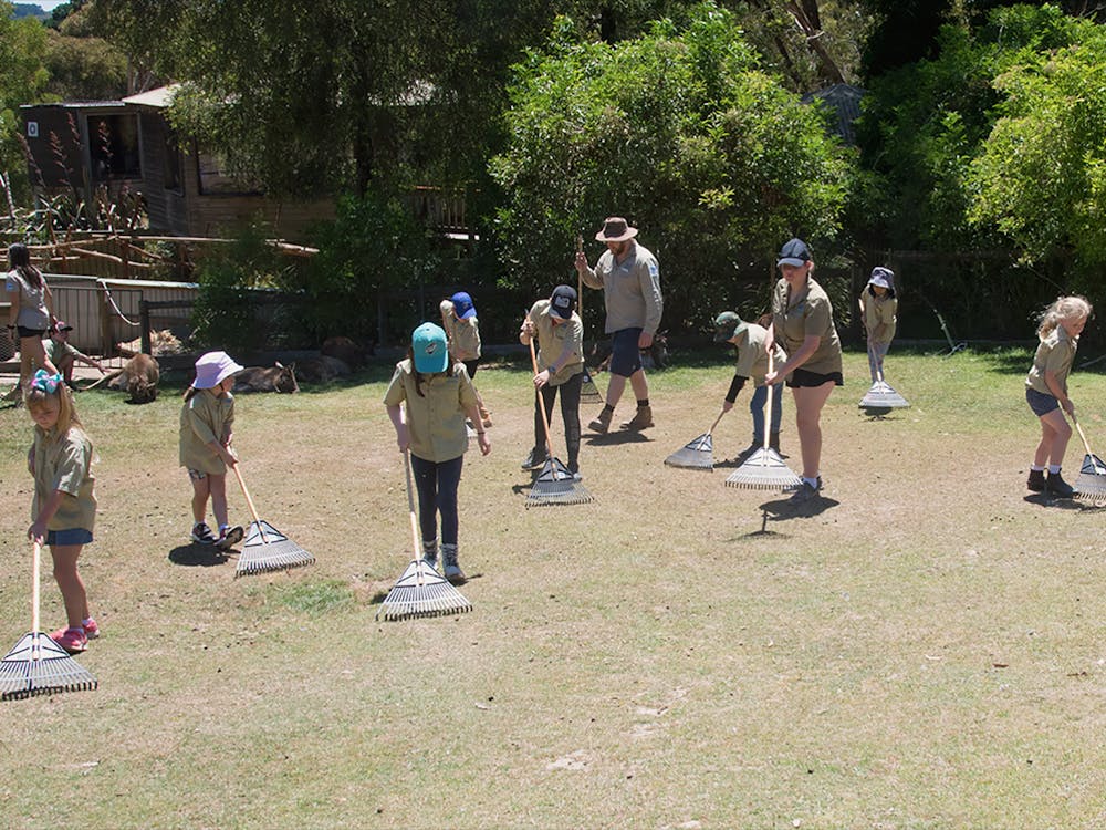 Children as zoo keepers raking
