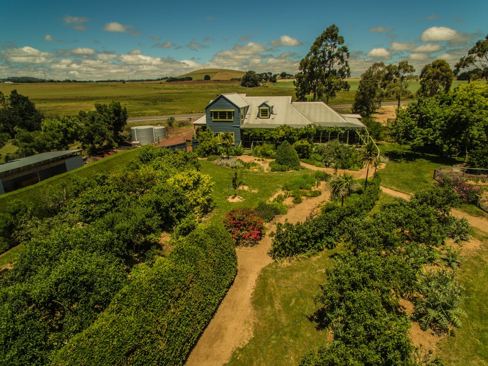 Garden and house