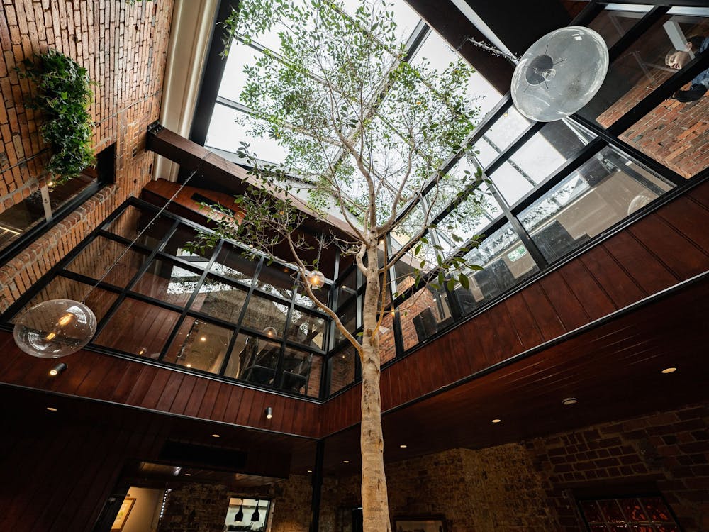 Interior of The North Star Hotel featuring a large indoor tree beneath a glass ceiling