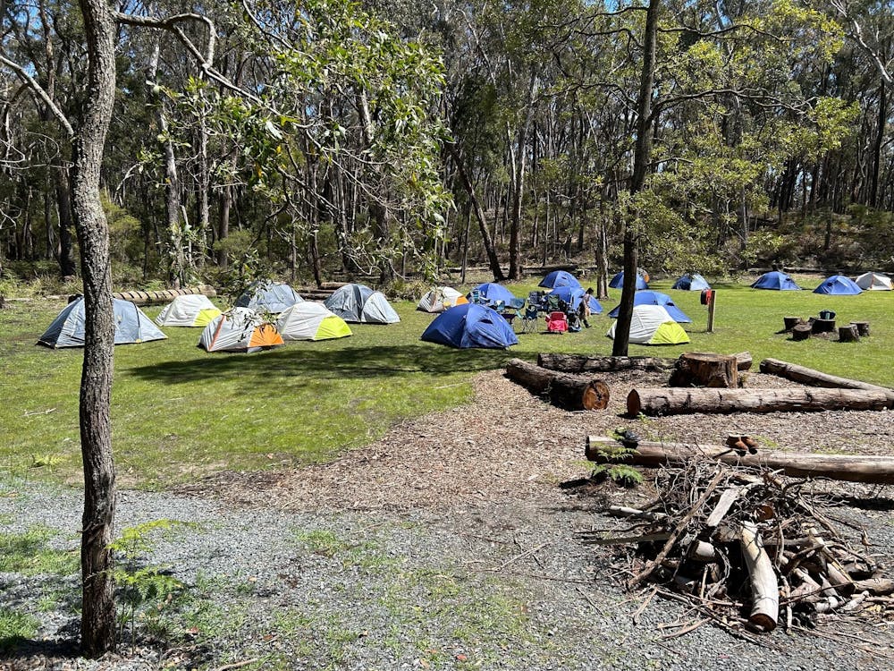 Tents set up in a private bushland tent site