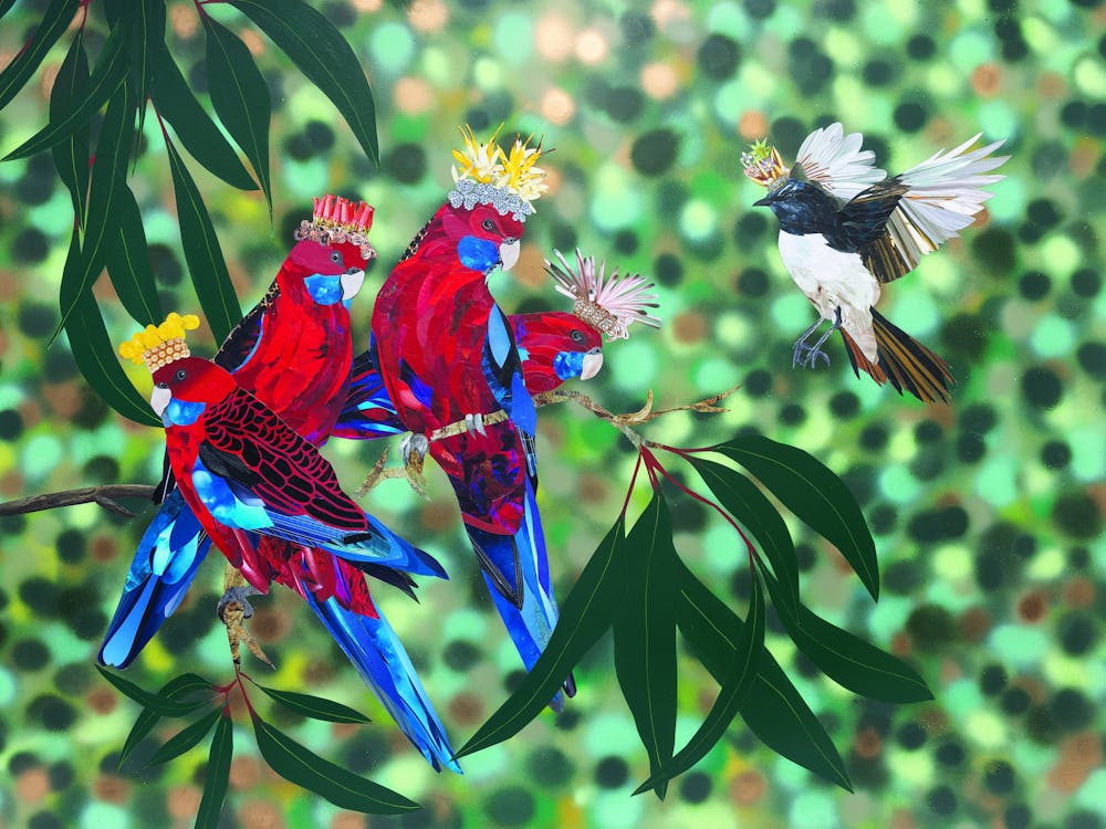 Four rosellas perched on a branch proudly wearing their native crowns. And in flies a willy wagtail