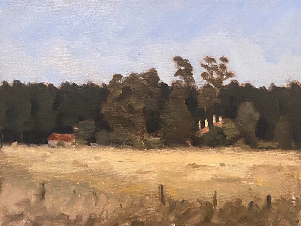 36x46cm , Oil